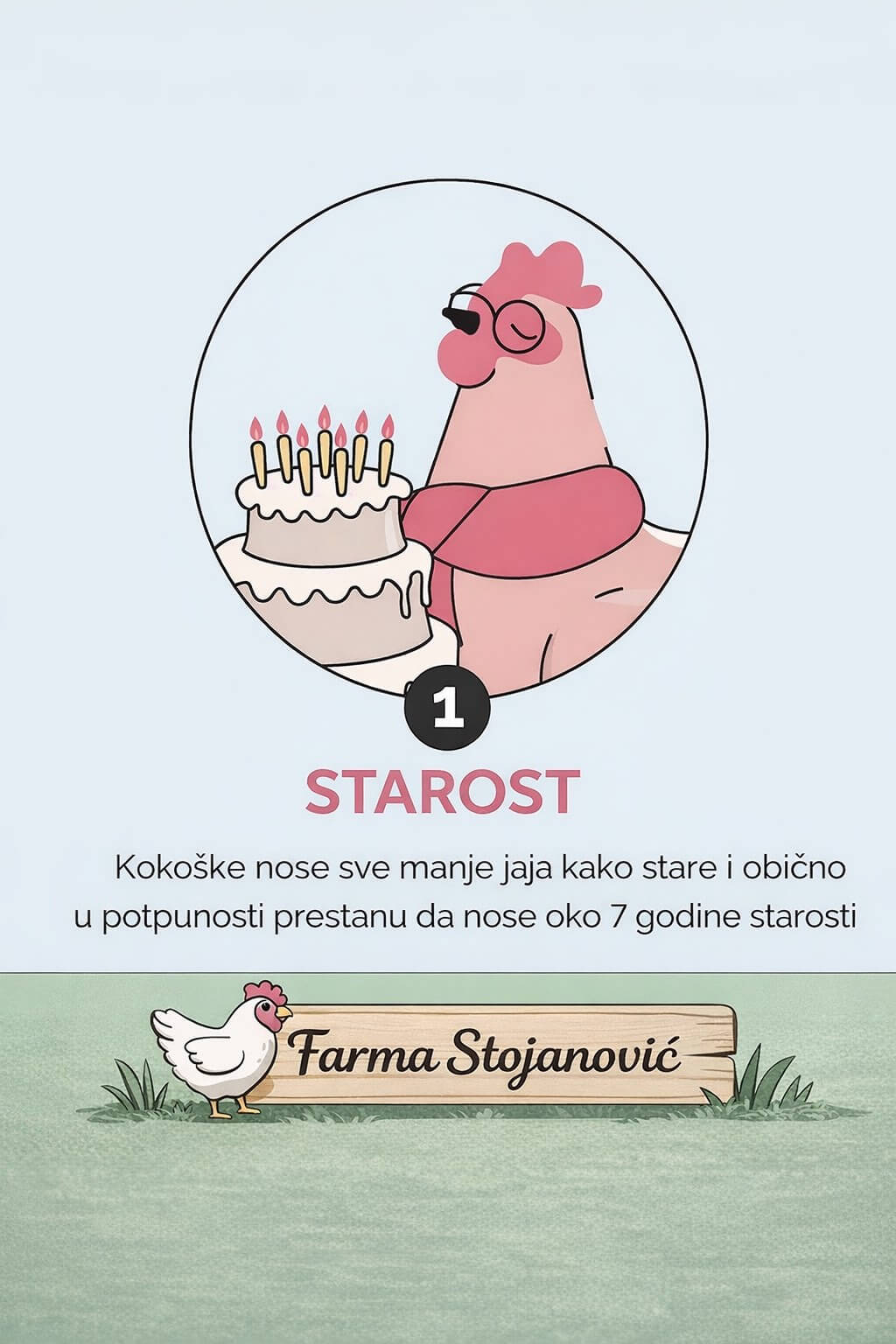4 razloga zašto kokoške prestaju da nose jaja