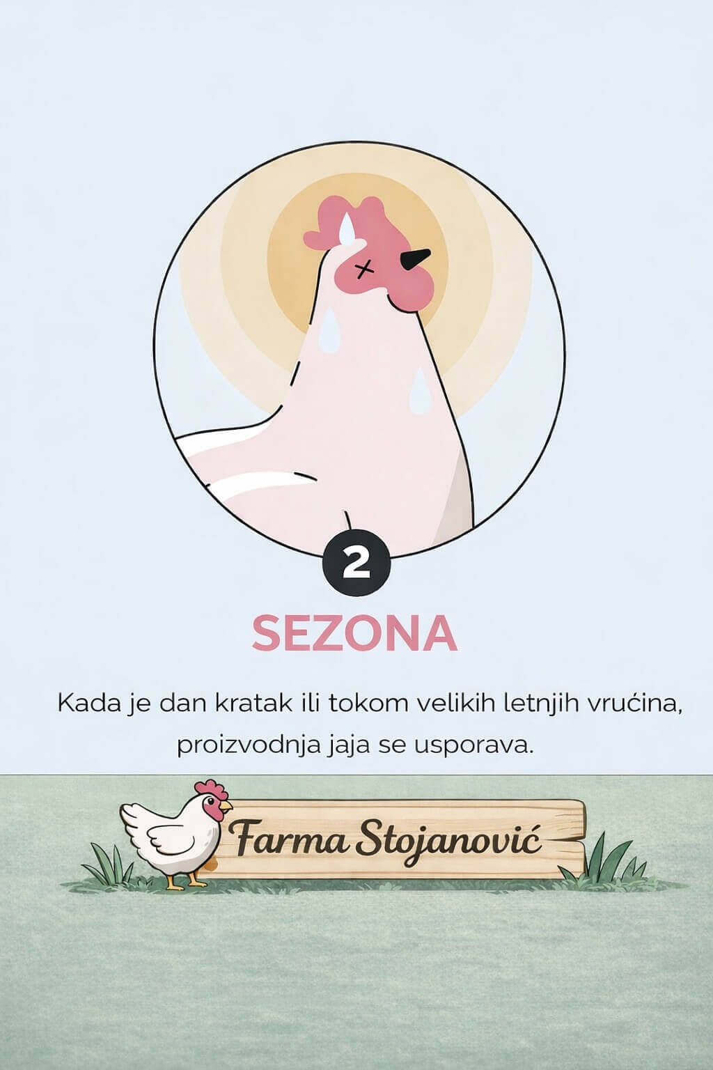 4 razloga zašto kokoške prestaju da nose jaja
