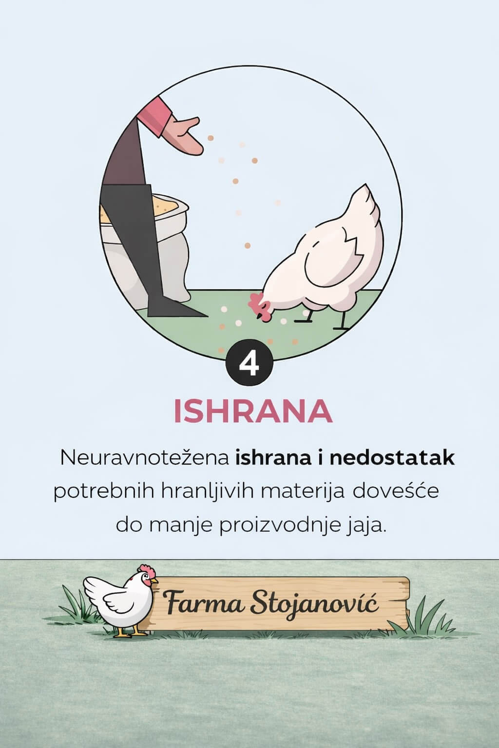 4 razloga zašto kokoške prestaju da nose jaja