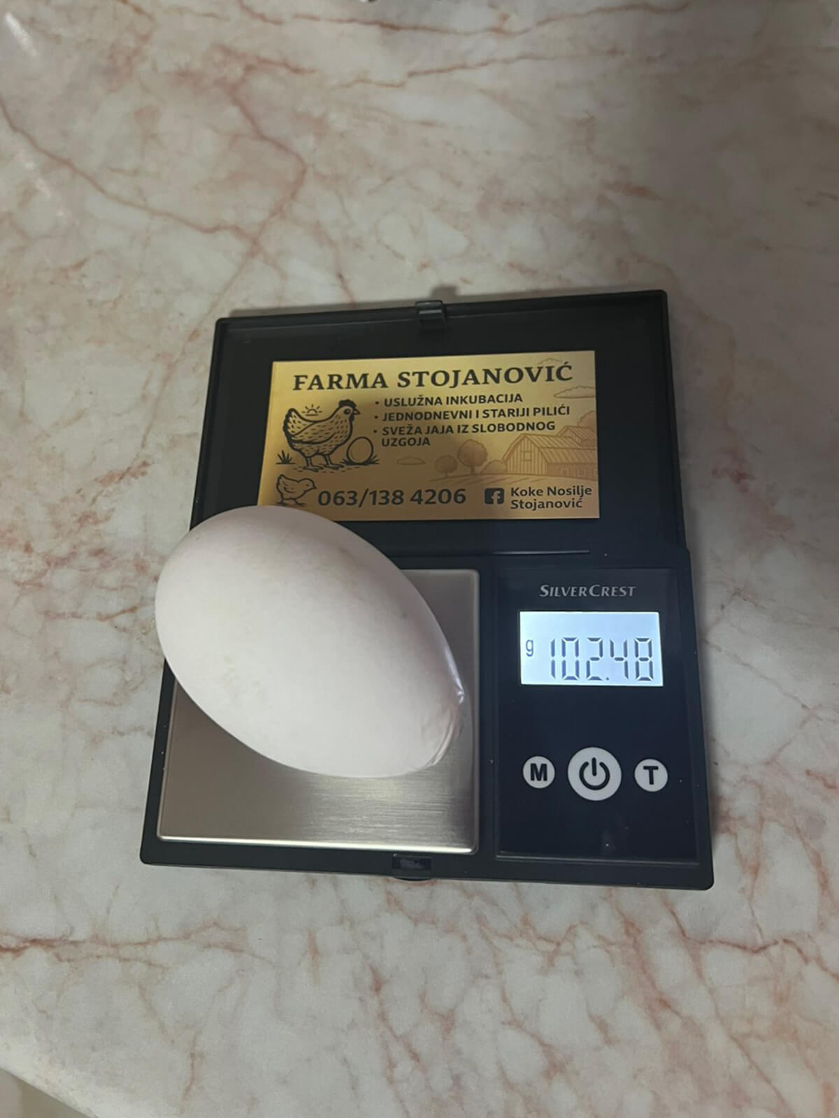 Farma koka nosilja "Stojanović" - 102 grama jaje Leghorn