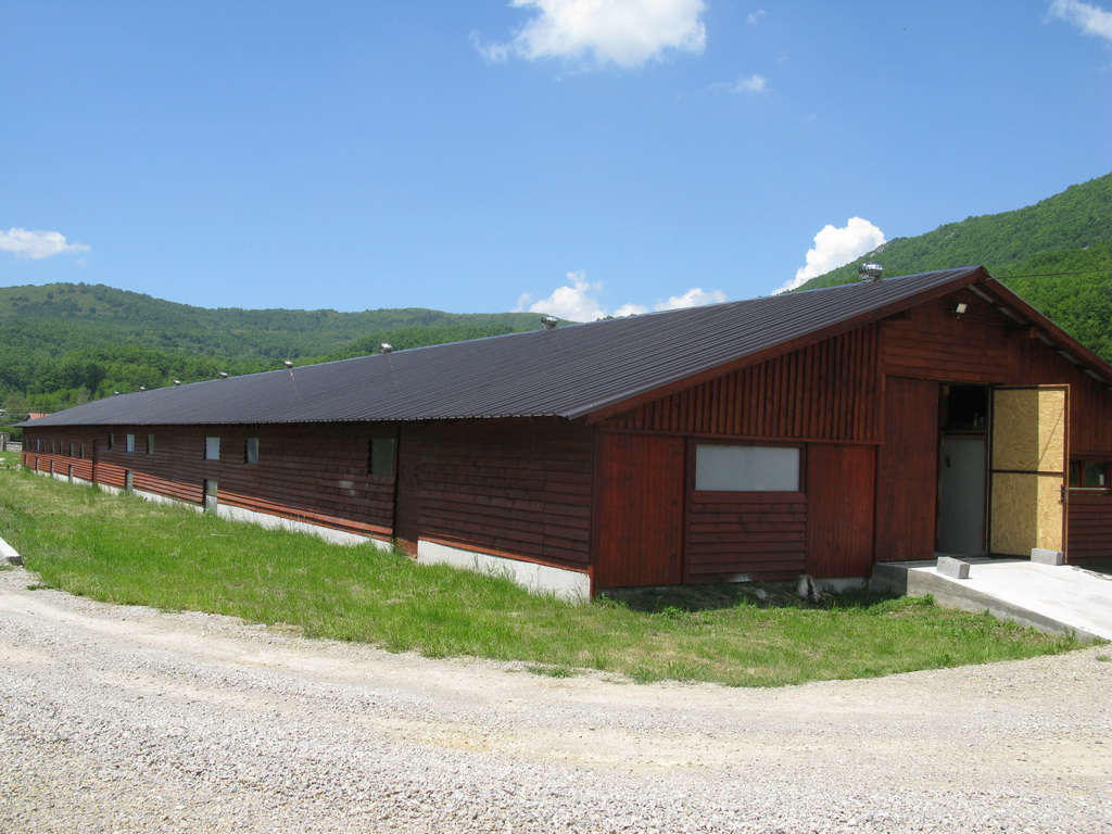 Farma ovaca "Milenković" Strmosten